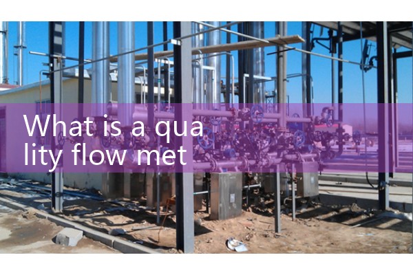 What is a mass flow meter
